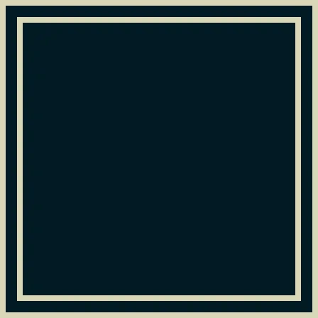 Zoomed-in screenshot showing a square with two solid borders and transparent space between.