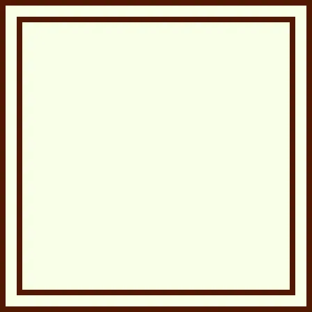 Zoomed-in screenshot showing a square with two solid borders and transparent space between.